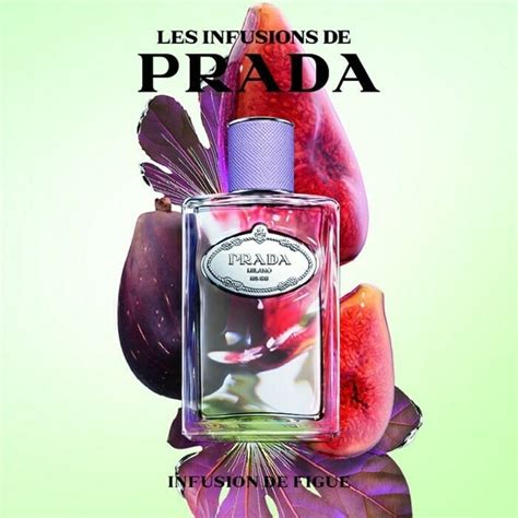 prada infusion de figue